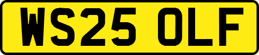 WS25OLF