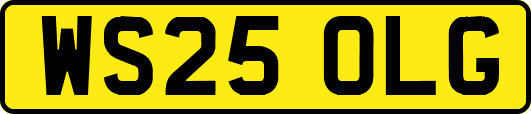 WS25OLG