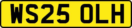 WS25OLH