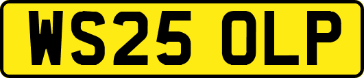 WS25OLP