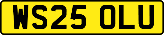 WS25OLU