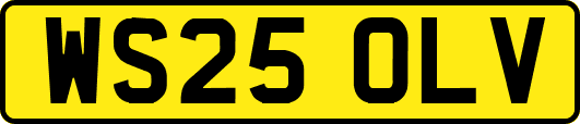 WS25OLV