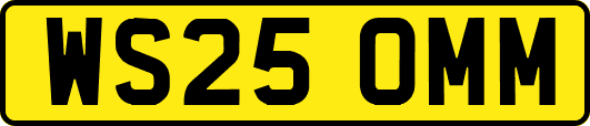 WS25OMM