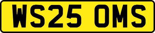 WS25OMS