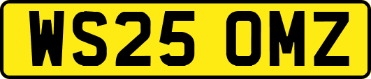 WS25OMZ