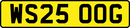 WS25OOG