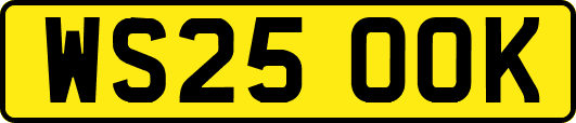 WS25OOK