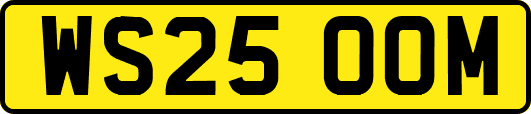 WS25OOM