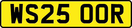 WS25OOR