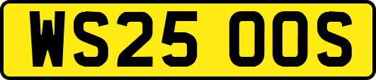 WS25OOS