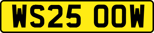 WS25OOW