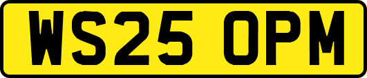 WS25OPM