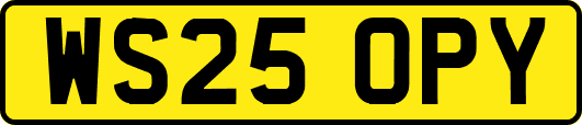WS25OPY