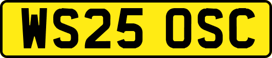 WS25OSC