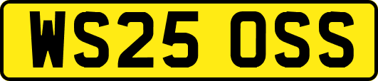 WS25OSS