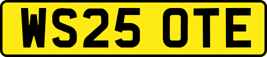 WS25OTE