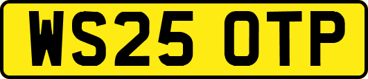 WS25OTP