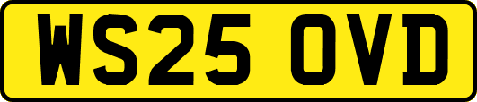 WS25OVD