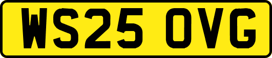 WS25OVG
