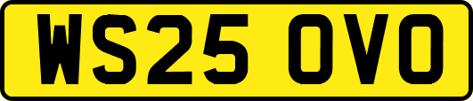 WS25OVO