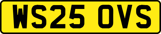 WS25OVS