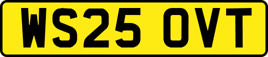 WS25OVT