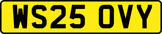 WS25OVY