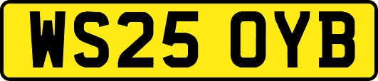 WS25OYB