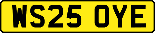 WS25OYE