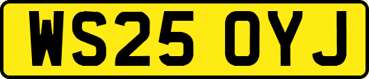 WS25OYJ