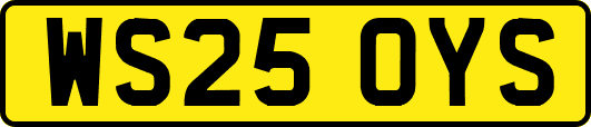 WS25OYS