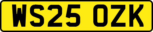 WS25OZK