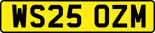 WS25OZM