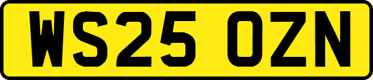 WS25OZN