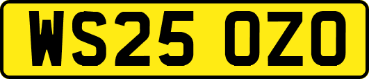 WS25OZO