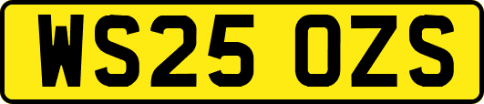 WS25OZS