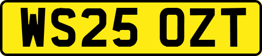 WS25OZT