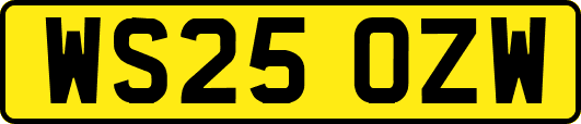 WS25OZW