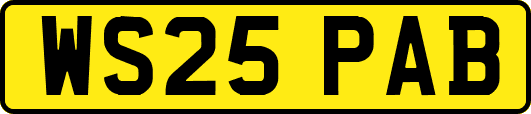 WS25PAB