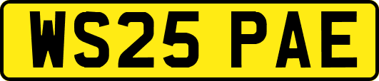 WS25PAE