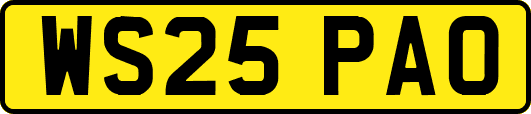 WS25PAO