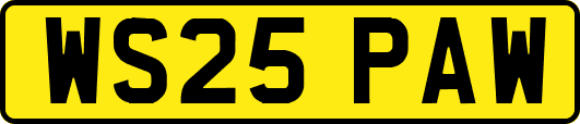 WS25PAW