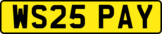 WS25PAY