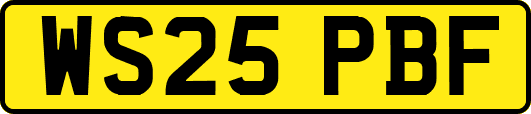 WS25PBF
