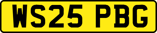 WS25PBG