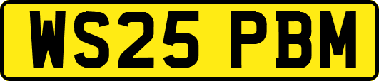 WS25PBM