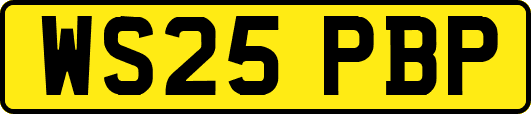 WS25PBP