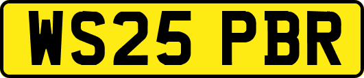 WS25PBR