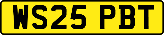 WS25PBT