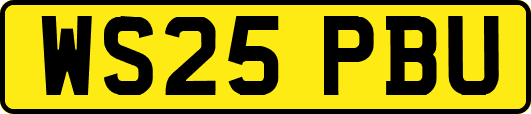 WS25PBU